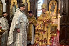 IMG-20201225-WA0003-768x576