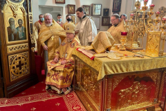 WhatsApp-Image-2020-12-26-at-12.12.48-10