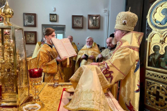 WhatsApp-Image-2020-12-26-at-12.12.48-11