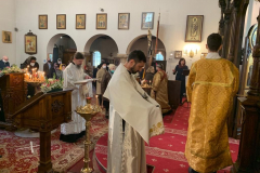 WhatsApp-Image-2020-12-26-at-12.12.48-9