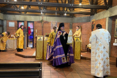 WhatsApp-Image-2022-08-13-at-19.57.18-5