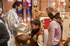 IMG-20260118-WA00071